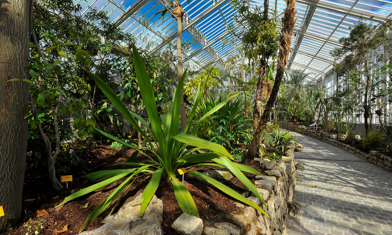Plantentuin Meise