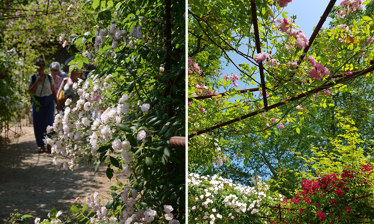 Plantentuin Meise