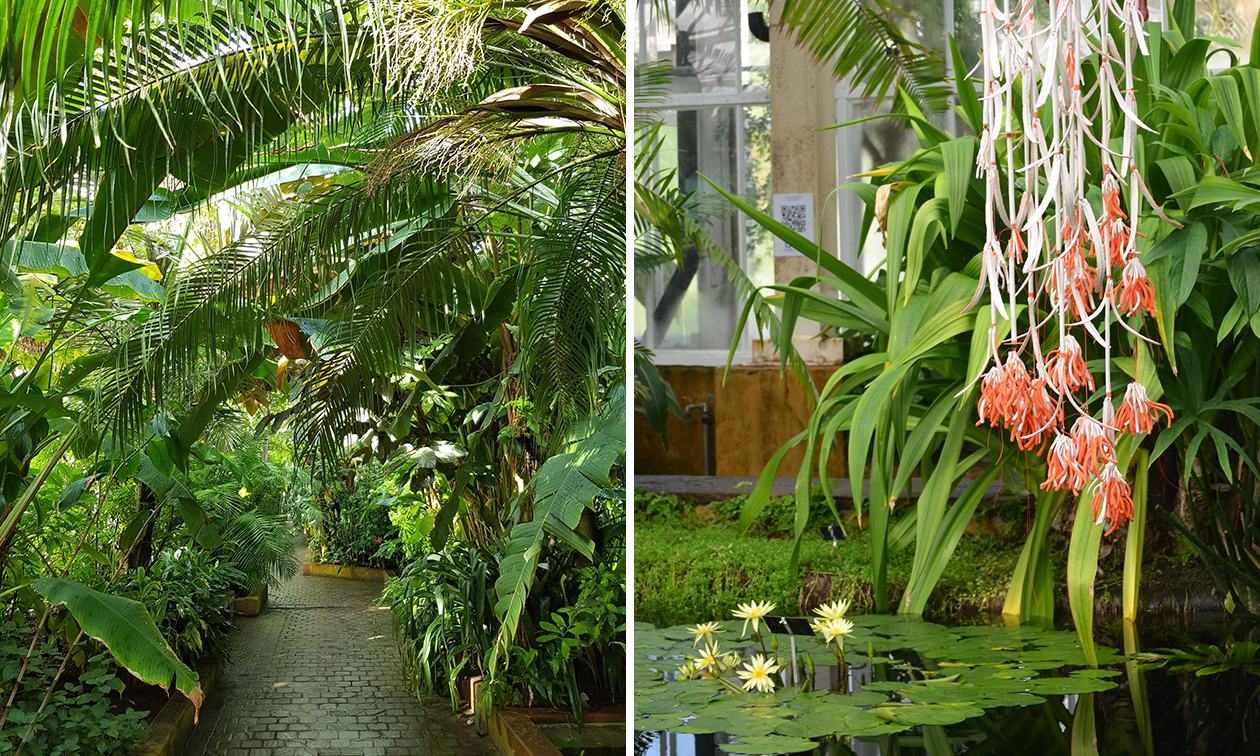 Plantentuin Meise