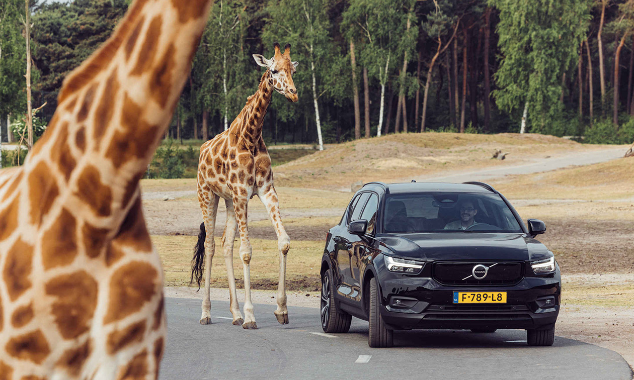 Safaripark Beekse Bergen