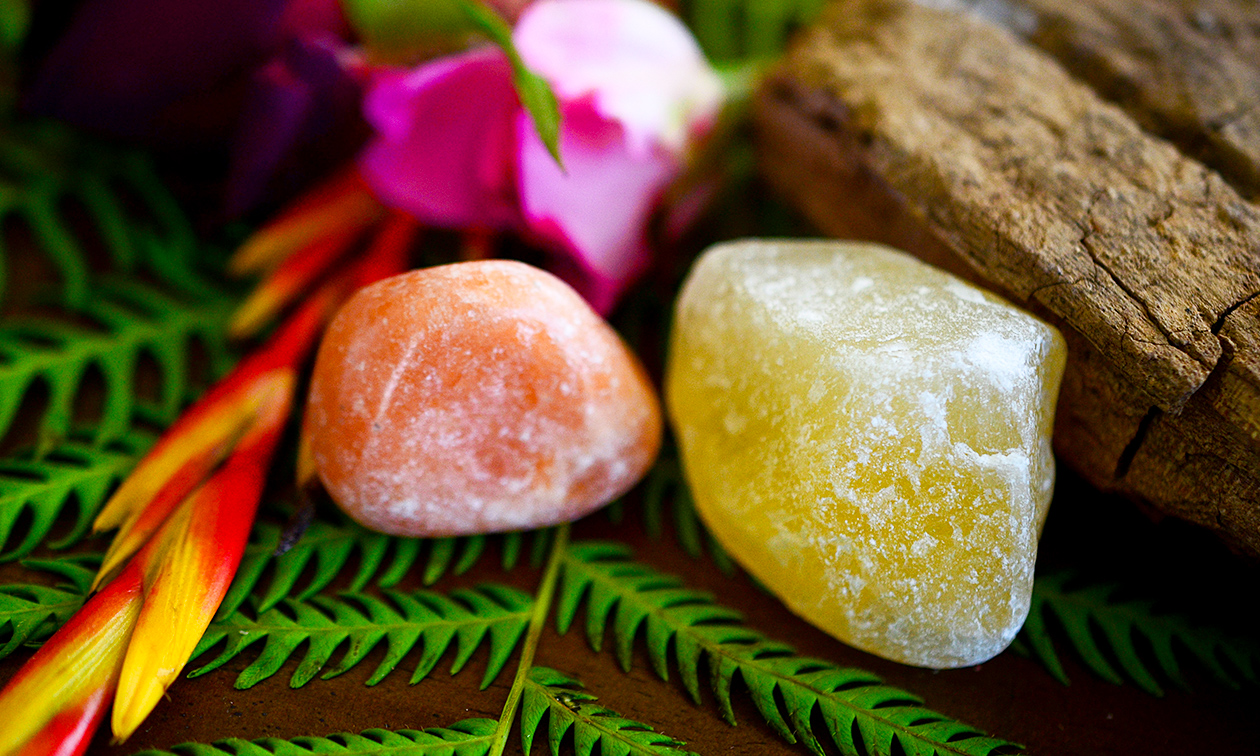 Sakura Wellnessfarm