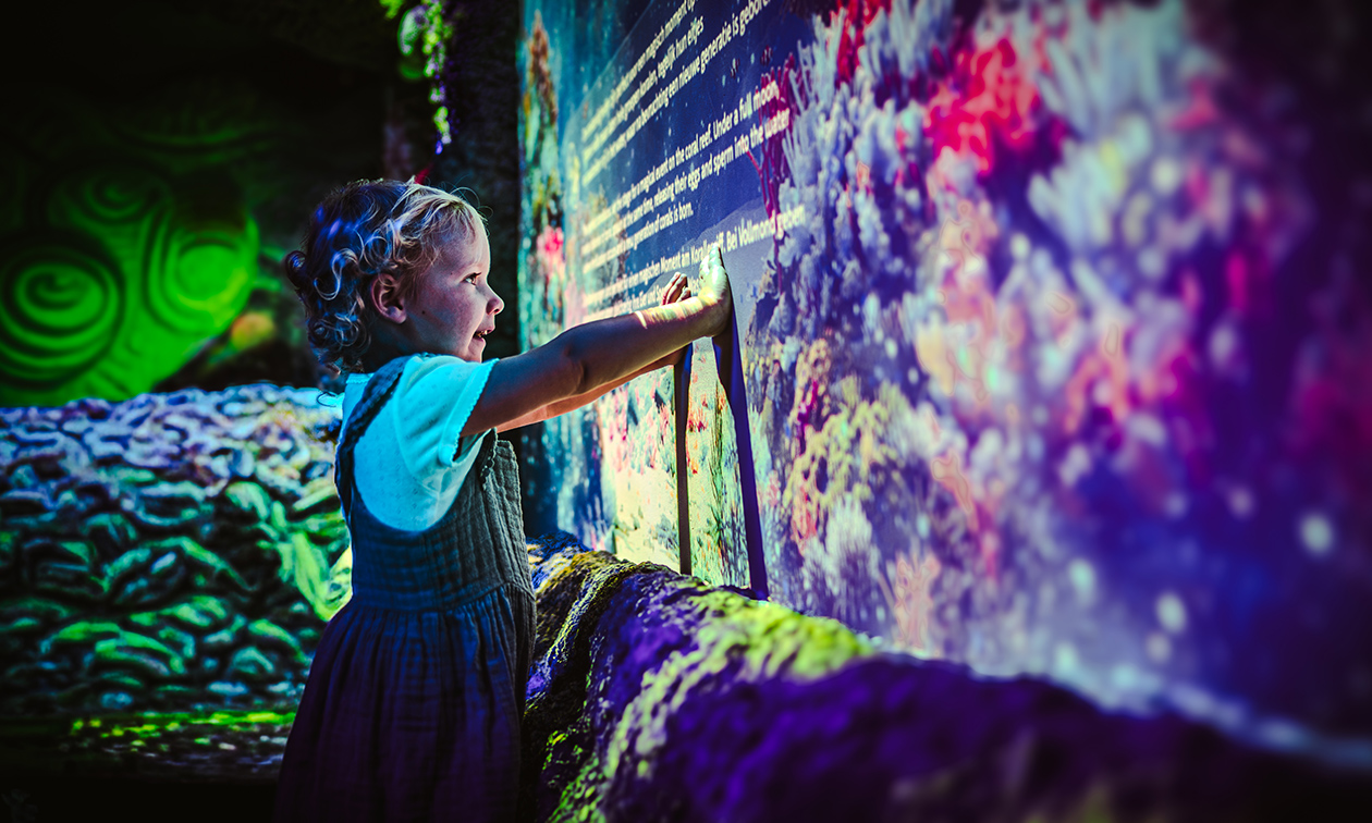 SEA LIFE Scheveningen