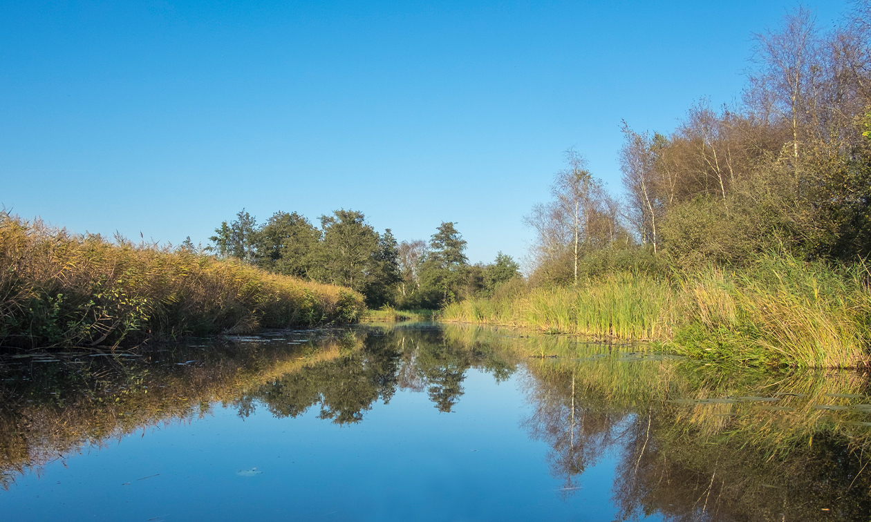 Sloepverhuur Roosendaal