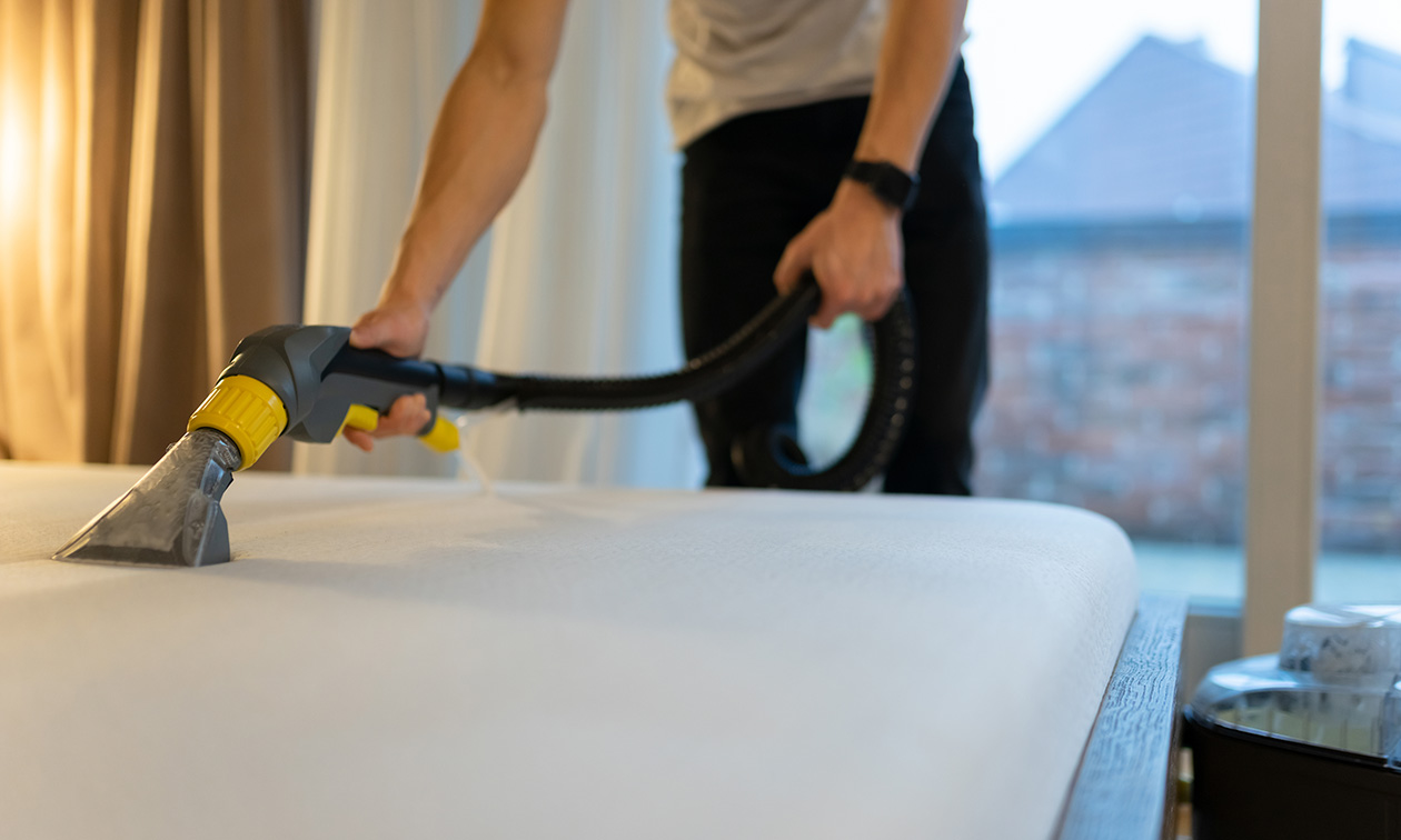 Sofa clean & more