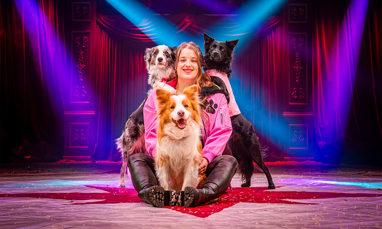 The Magical World of Circus