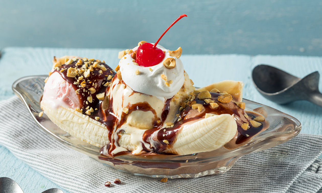 The Wings Paradise Rotterdam en Den Haag