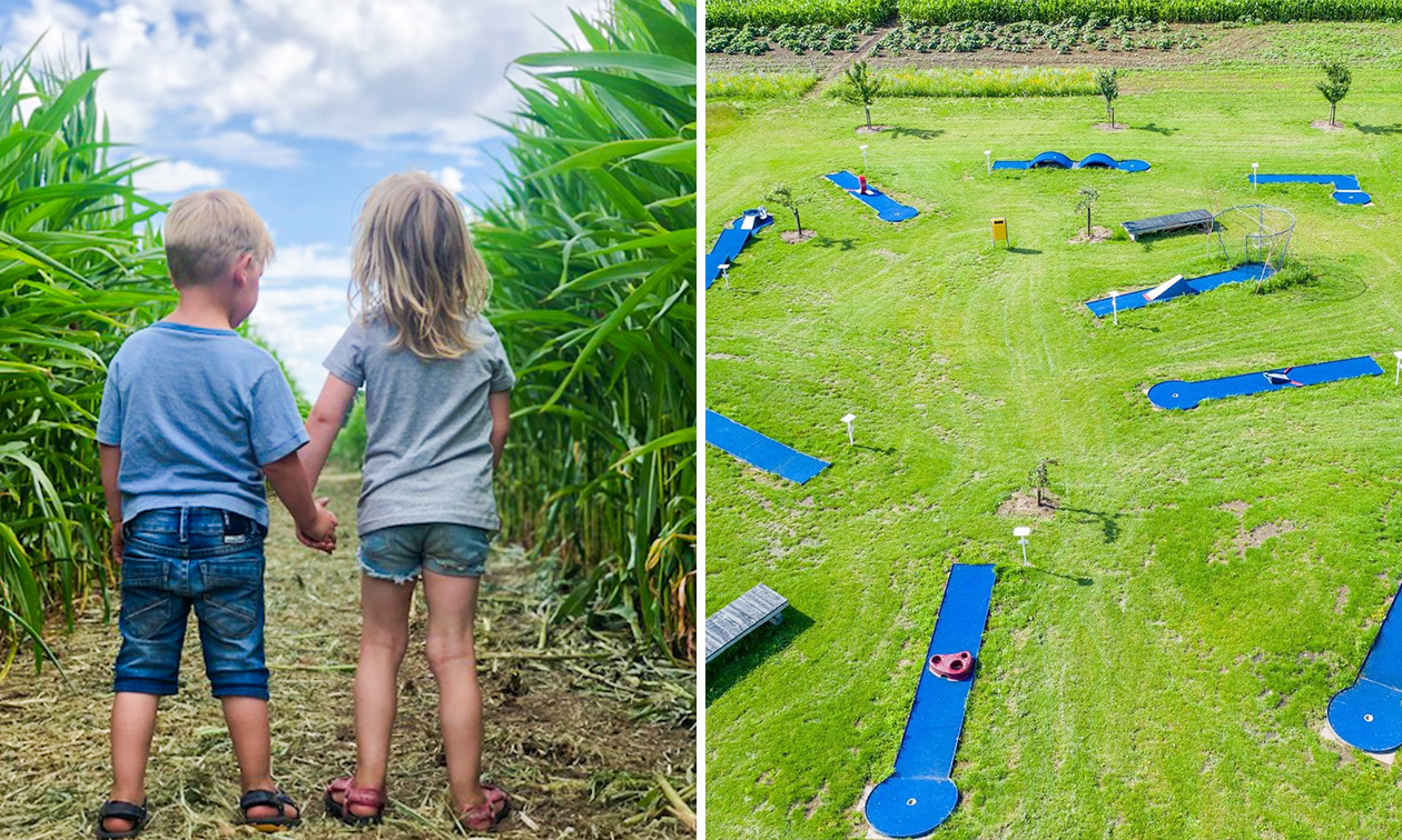 WALEUK Recreatie-, Speel- & Feestboerderij