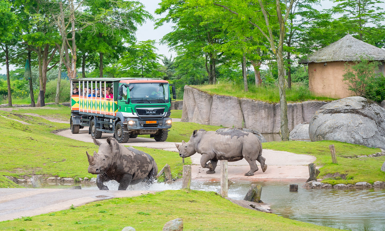 WILDLANDS Adventure Zoo Emmen