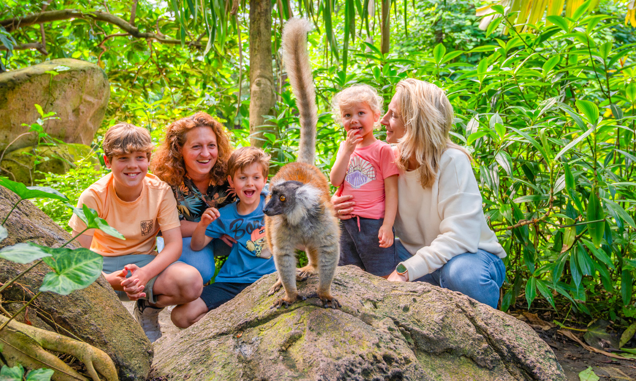 WILDLANDS Adventure Zoo Emmen