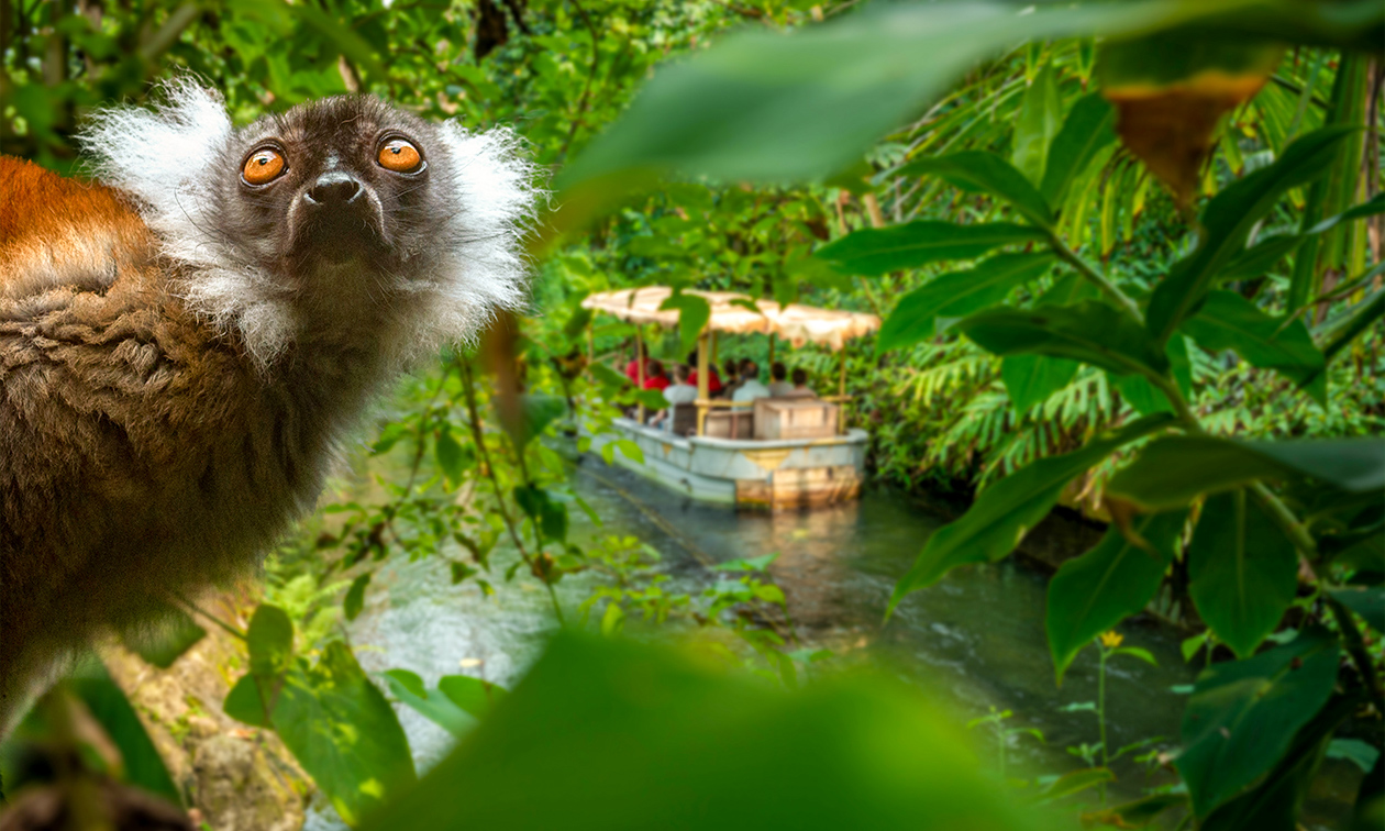 WILDLANDS Adventure Zoo Emmen