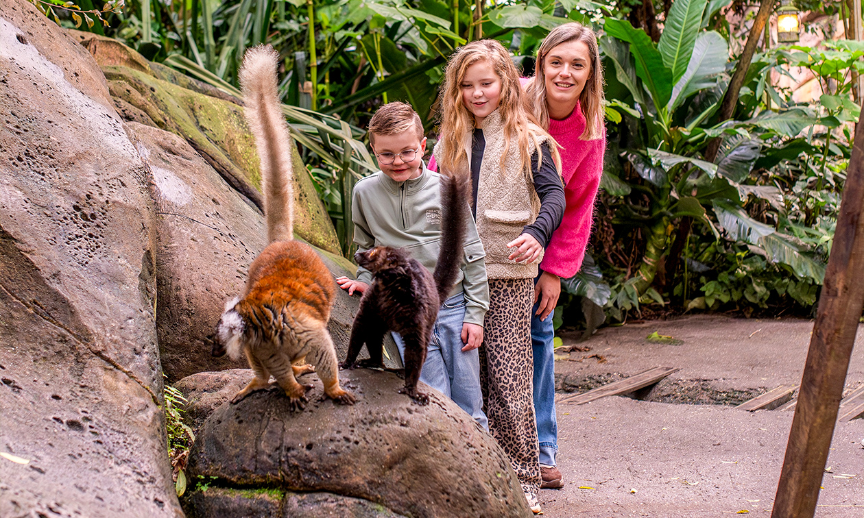 WILDLANDS Adventure Zoo Emmen