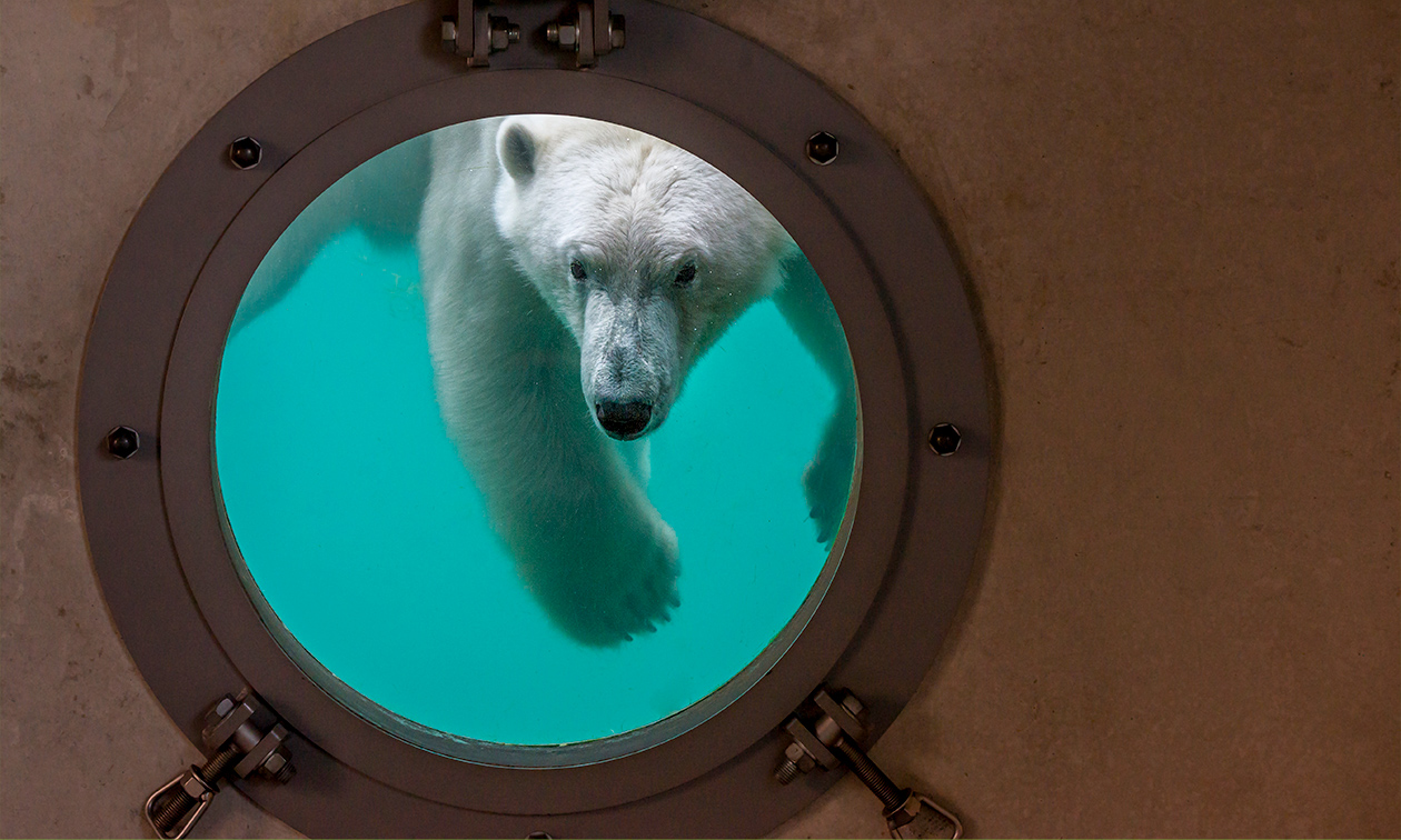 WILDLANDS Adventure Zoo Emmen