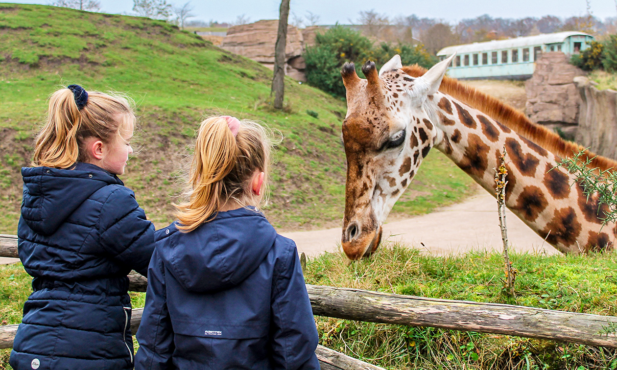 WILDLANDS Adventure Zoo Emmen