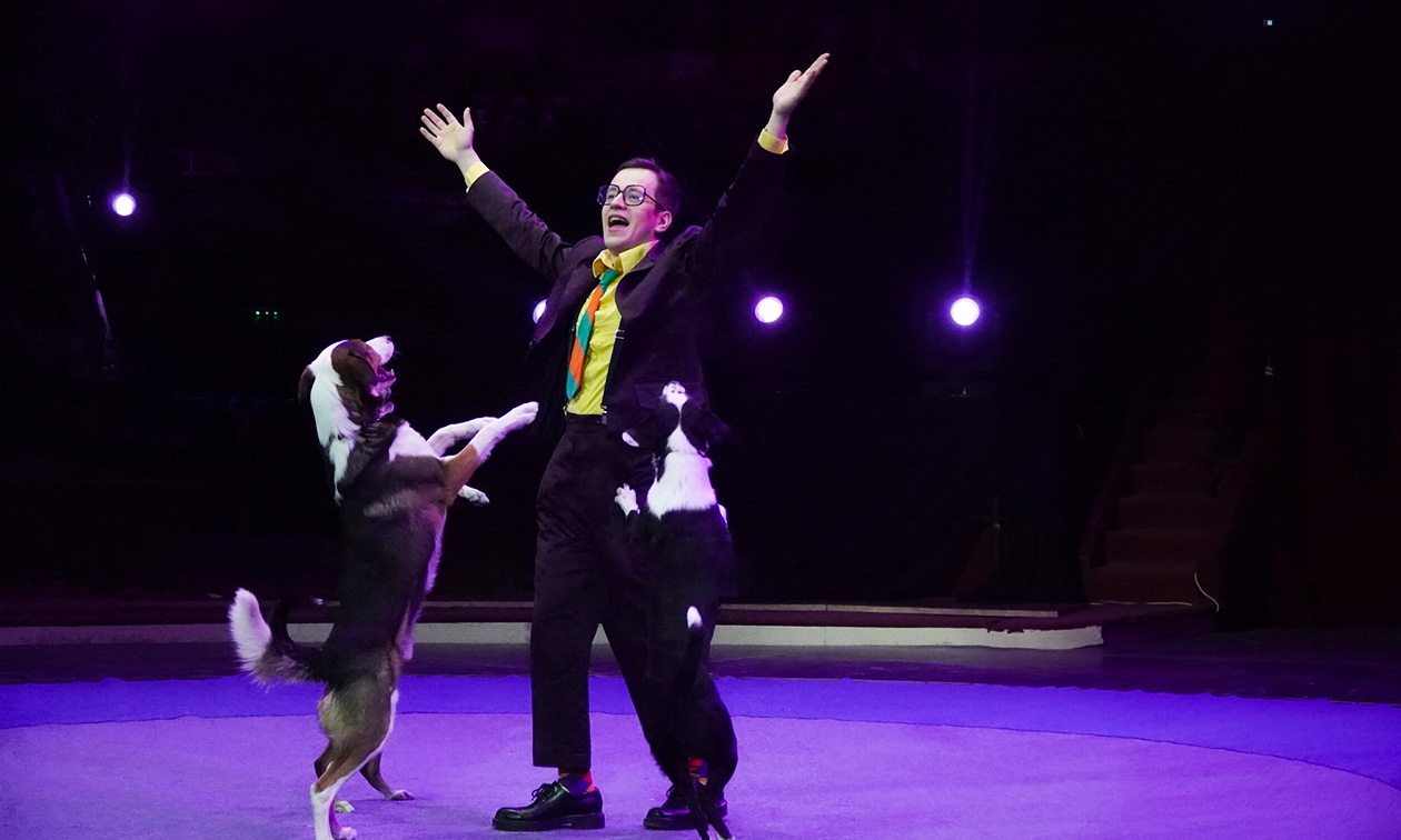 Kerstcircus Haarlem