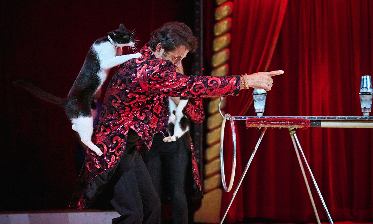 Wintercircus Pallasso