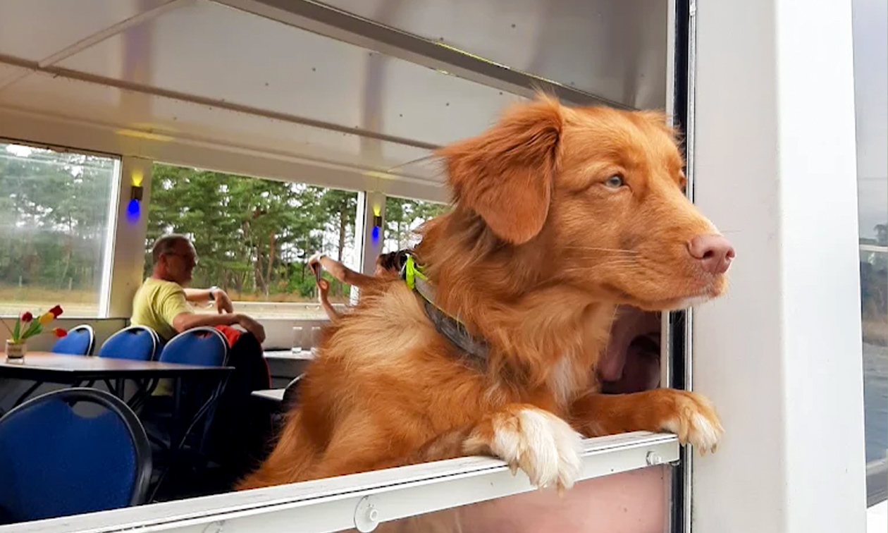 Zander Passagiersschip