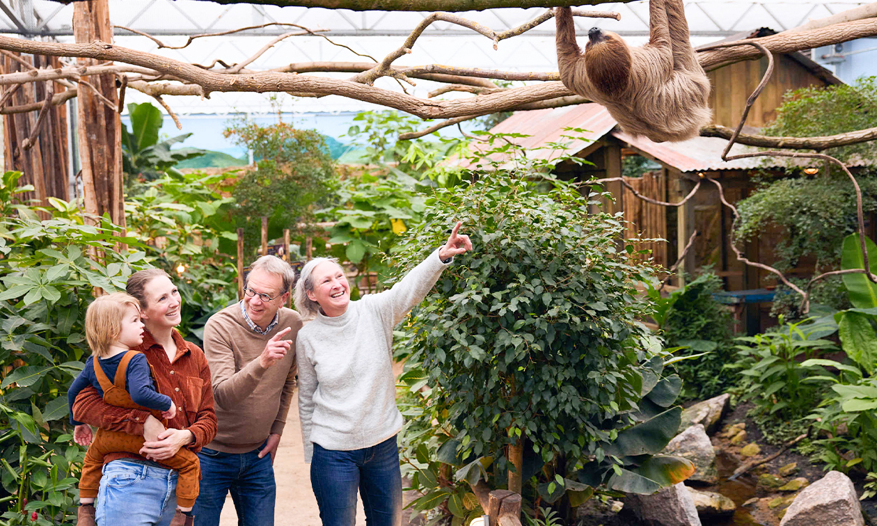 ZooParc Overloon