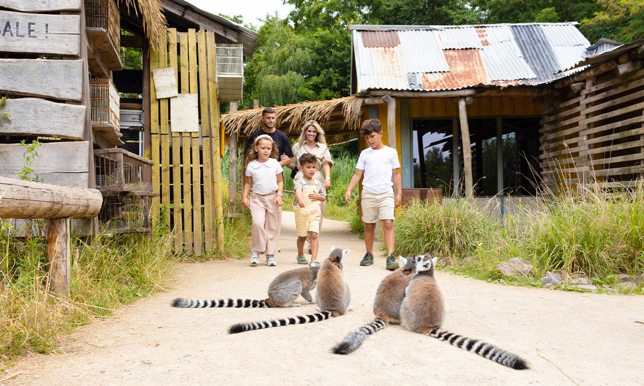 ZooParc Overloon