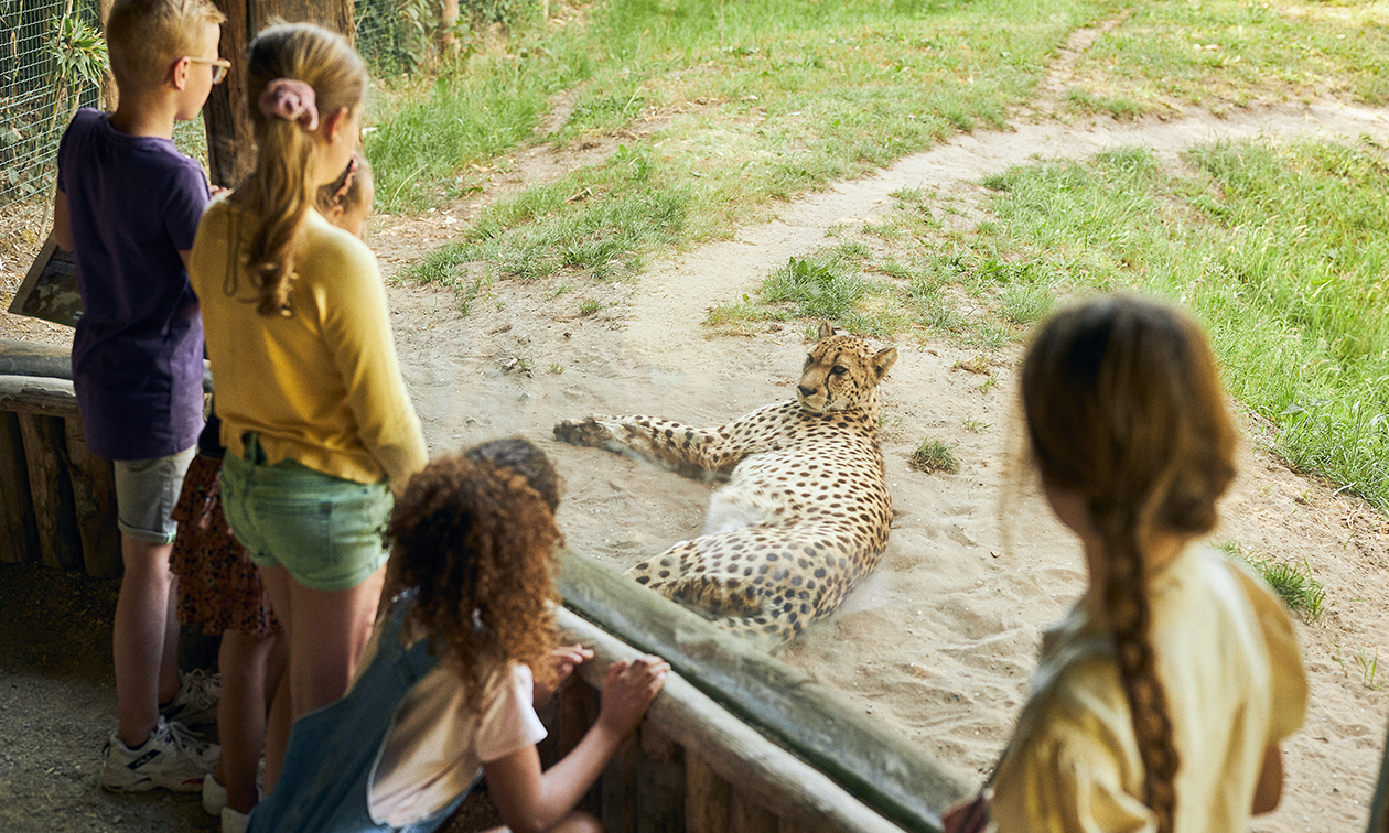ZooParc Overloon