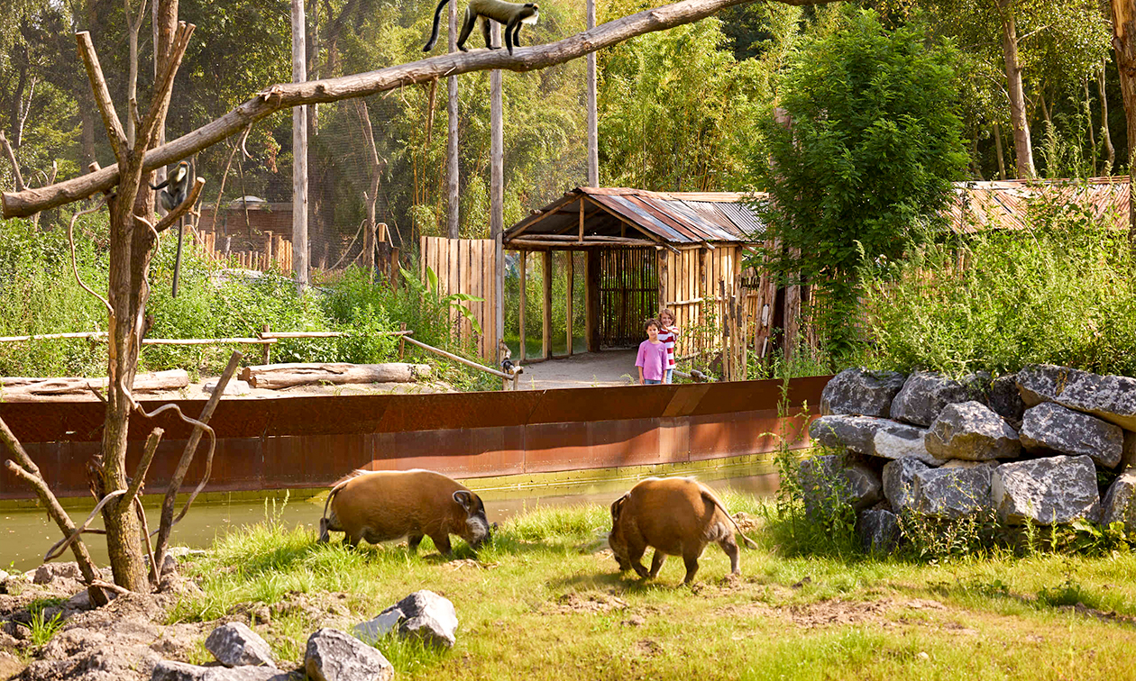 ZooParc Overloon