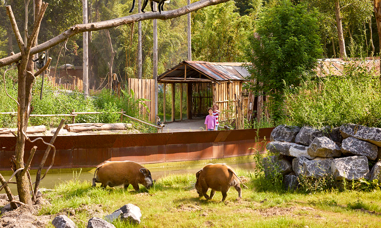 ZooParc Overloon