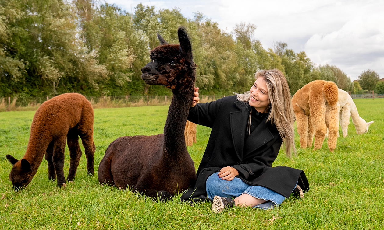 Alpaca experience (1,5 uur) + koffie/thee + gebak