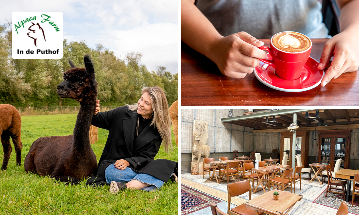 Alpaka Experience (1,5 Stunden) + Kaffee/Tee + Gebäck