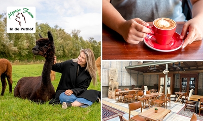 Alpaca experience (1,5 uur) + koffie/thee + gebak