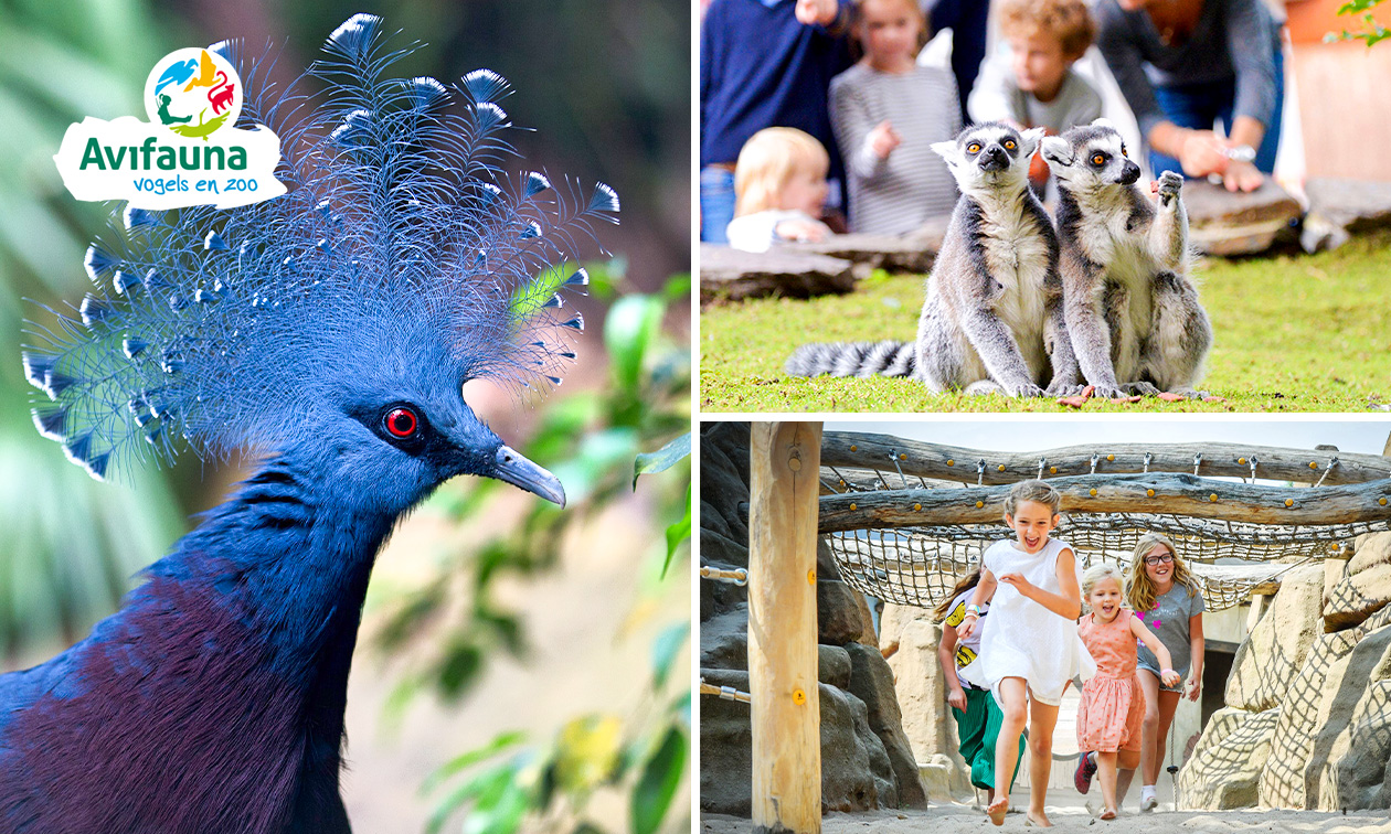 Entree Avifauna + XXL-speeltuin Entree Avifauna + XXL-speeltuin