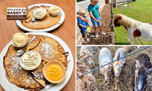 Entree kinderboerderij + reuzepannenkoeken + drankje