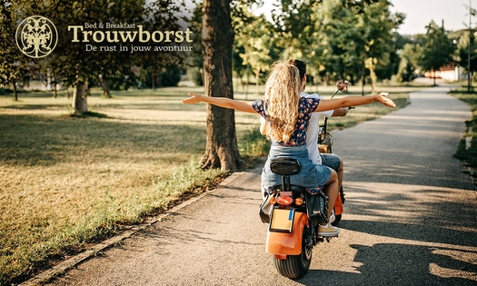 E-chopper huren (4 uur)