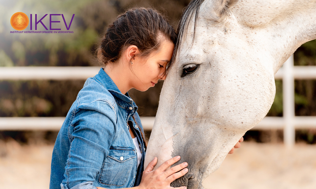 Paardencoaching naar keuze