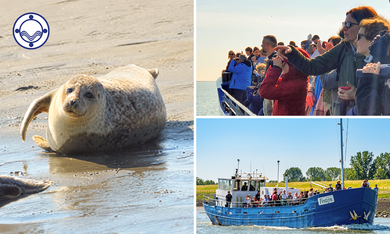 Rondvaart op de Westerschelde (1,5 uur)