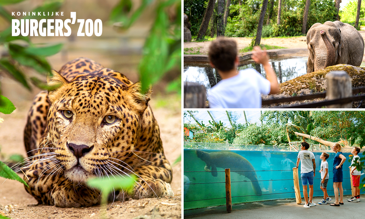 Entree voor Burgers' Zoo