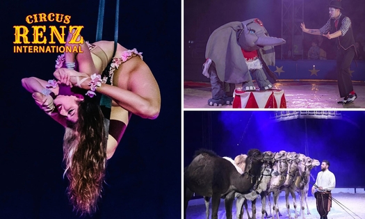 Spectacle de Noël Cirque Renz International