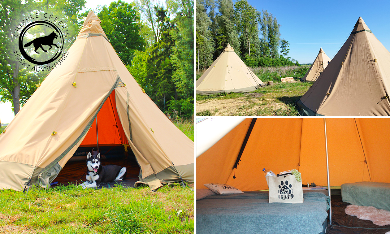 Overnachting voor 1 + husky-hike, high tea, ontbijt en meer