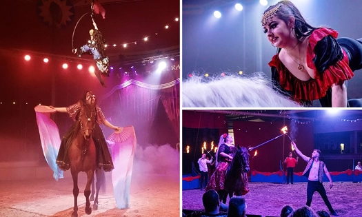 Entrée au spectacle Dancing with Horses