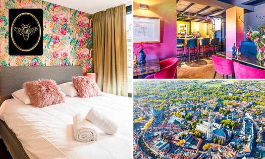 Nuit pour 2 + petit-déjeuner + check-in tardif + check-out tardif + bouteille de vin à Middelburg