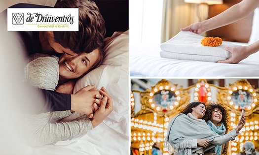 Hotelovernachting(en) + dagticket Efteling + ontbijt