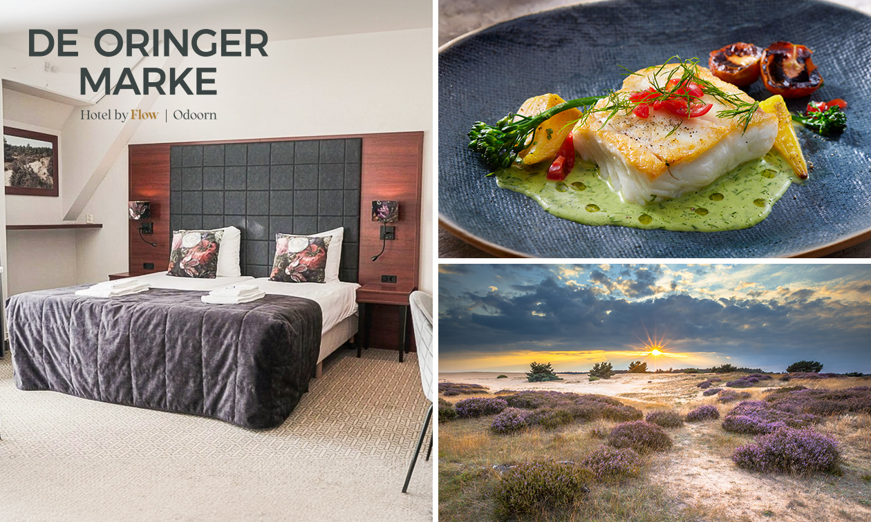 Nuit de luxe pour 2 + petit-déjeuner + dîner en 3 services et plus à Odoorn