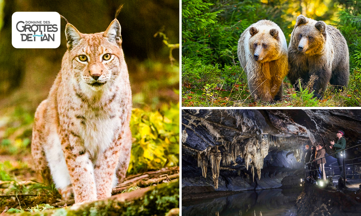 Entree tot het Wildpark + Grotten van Han