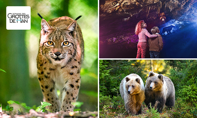 Entree tot Grotten van Han, Wildpark en meer Entree tot Grotten van Han, Wildpark en meer