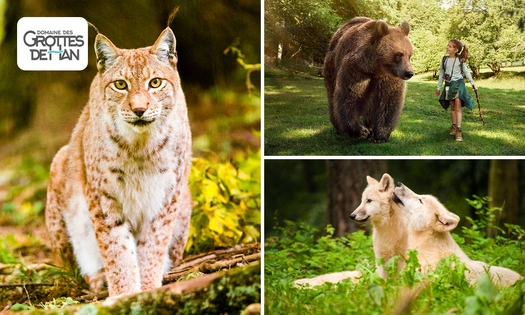 Eintritt in den Wildpark