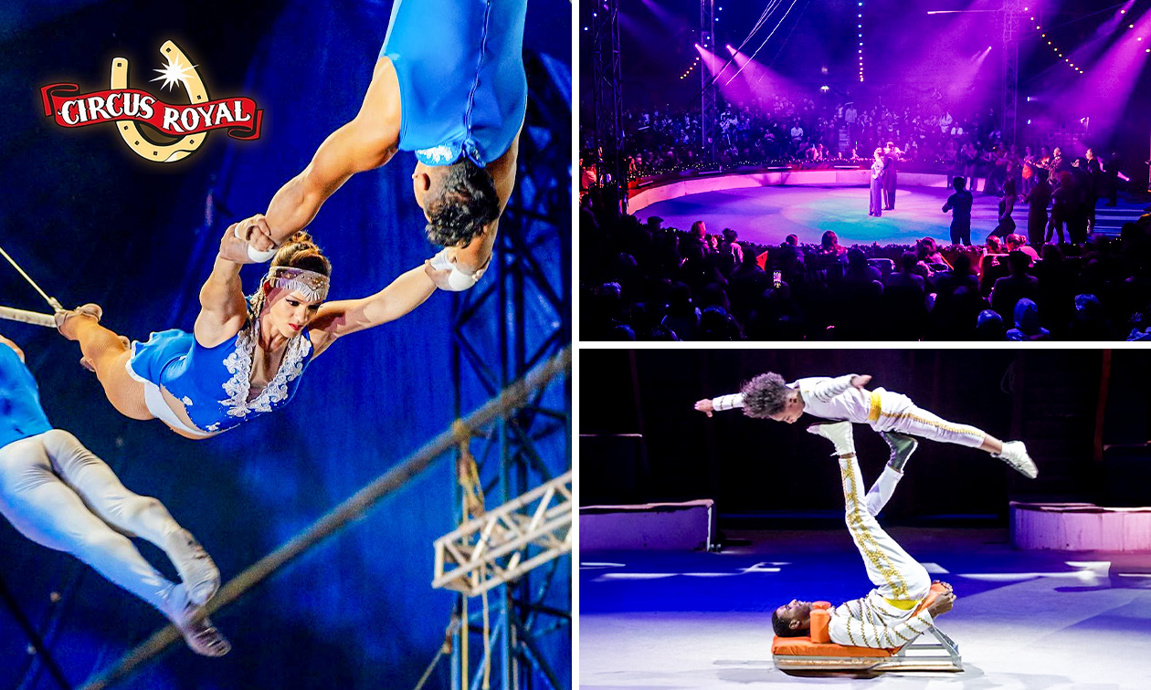 Entree kerstcircus Dordrecht