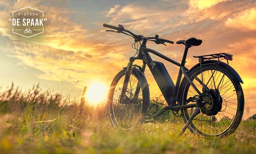 Huur e-bike (hele dag) in Pajottegem