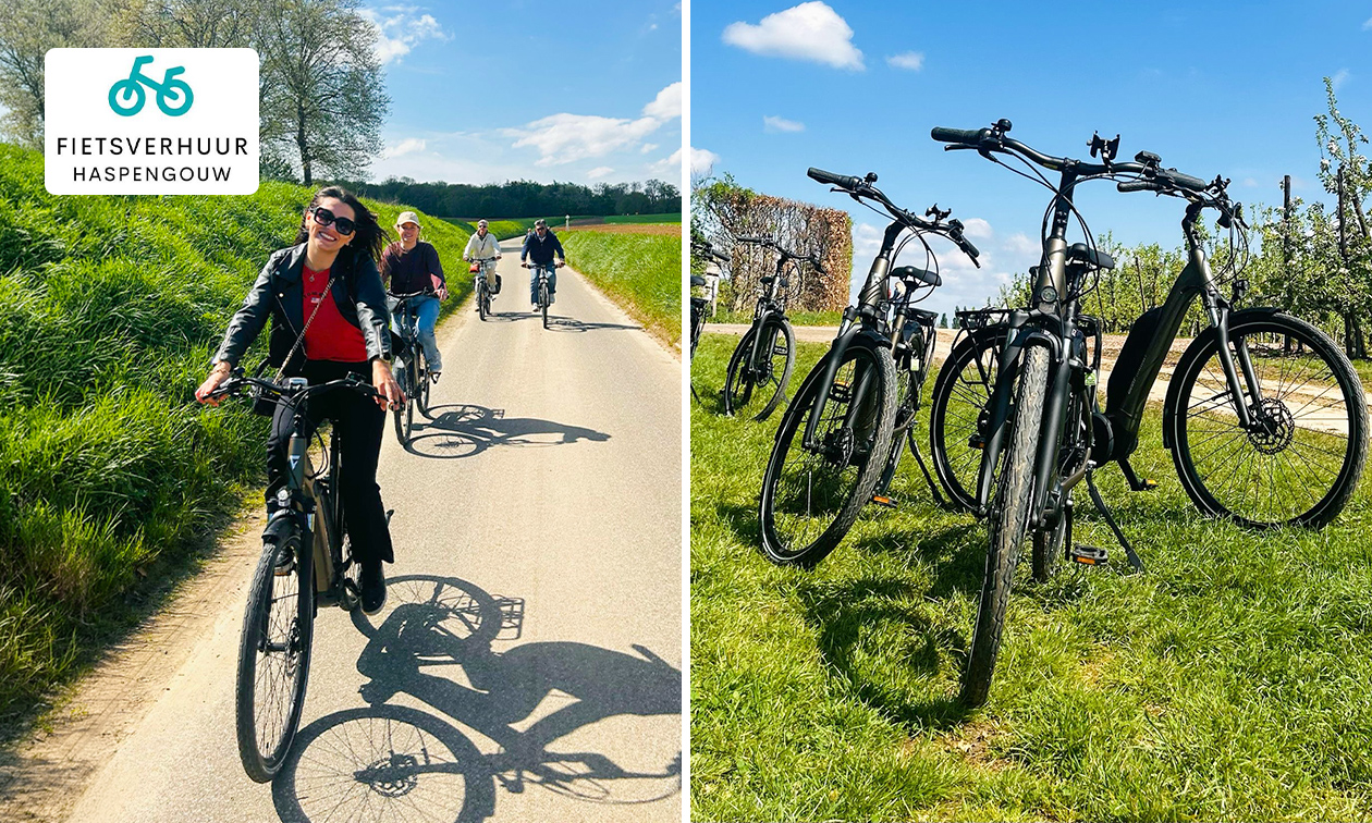 Huur Giant e-bike (gehele dag) incl. GPS met routes