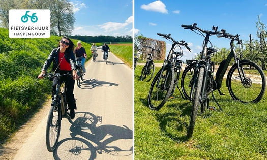 Huur Giant e-bike (gehele dag) incl. GPS met routes