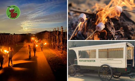 Avontuurlijke fakkeltocht + huifkarrit + diner