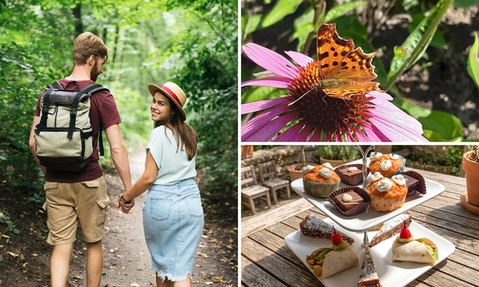 Mini-proeverij + evt. wandeling + koffie/thee en gebak bij Jorine's Theetuin