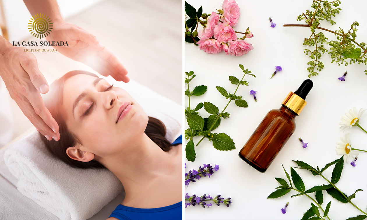 Reikibehandeling naar keuze (60 min) of workshop essentiële oliën (3 tot 3,5 uur)